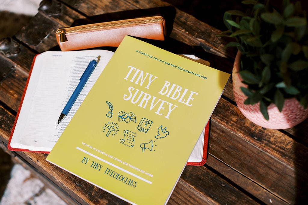 Tiny Bible Survey