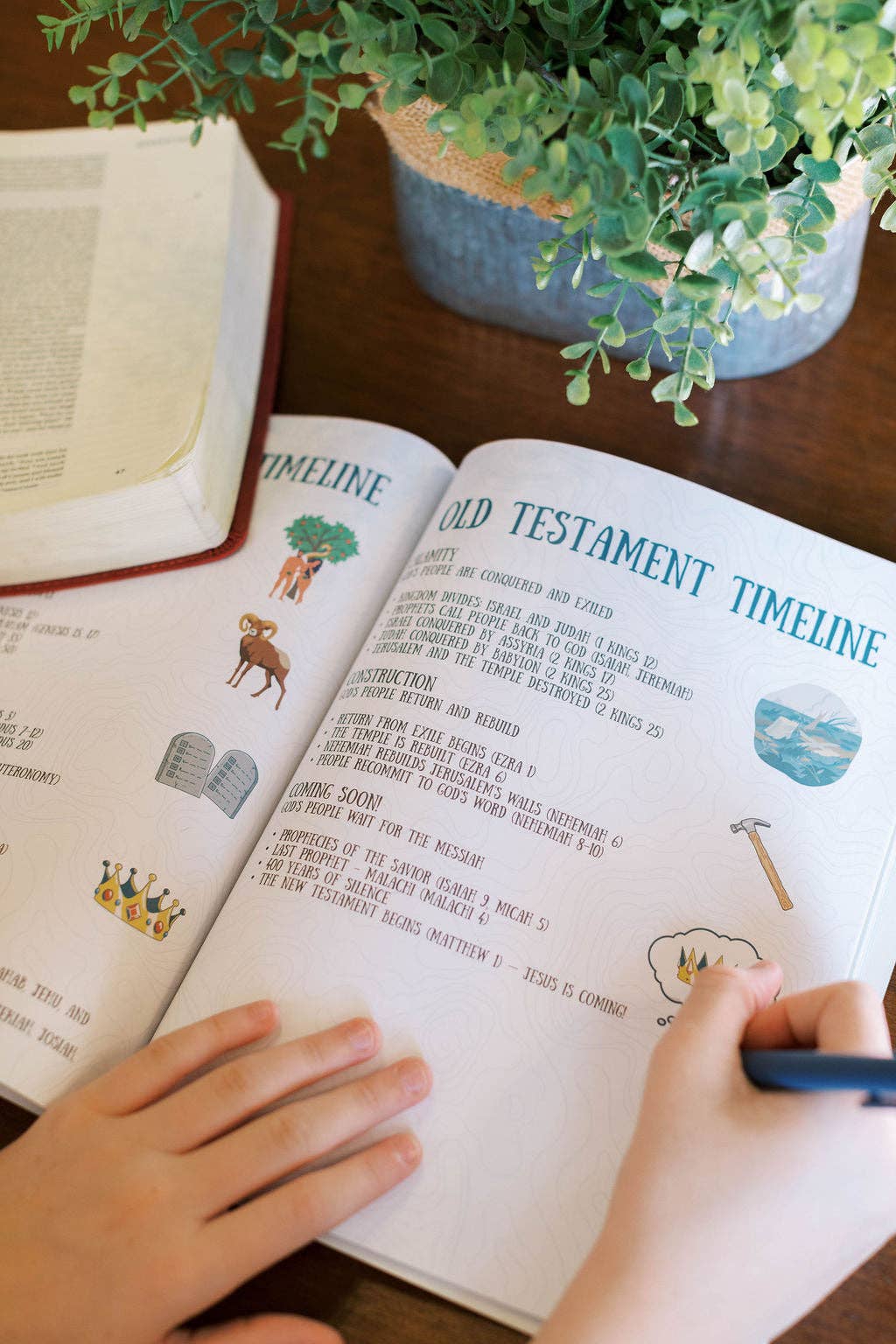 Tiny Bible Survey