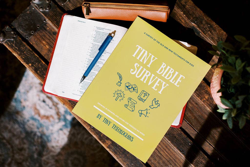 Tiny Bible Survey