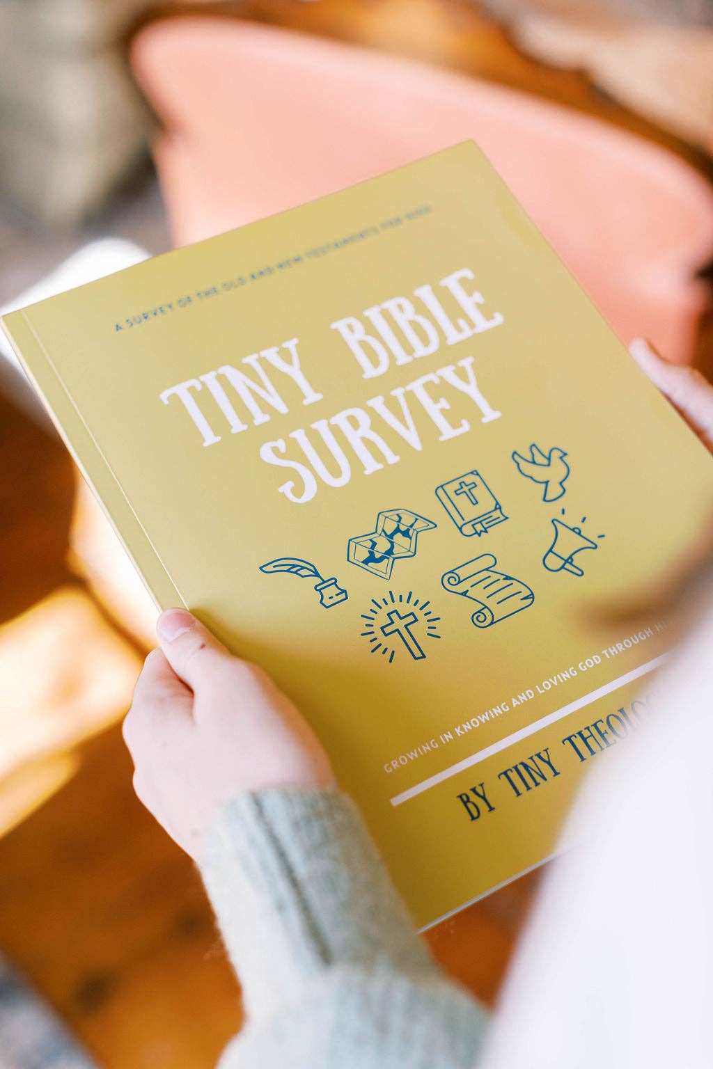 Tiny Bible Survey
