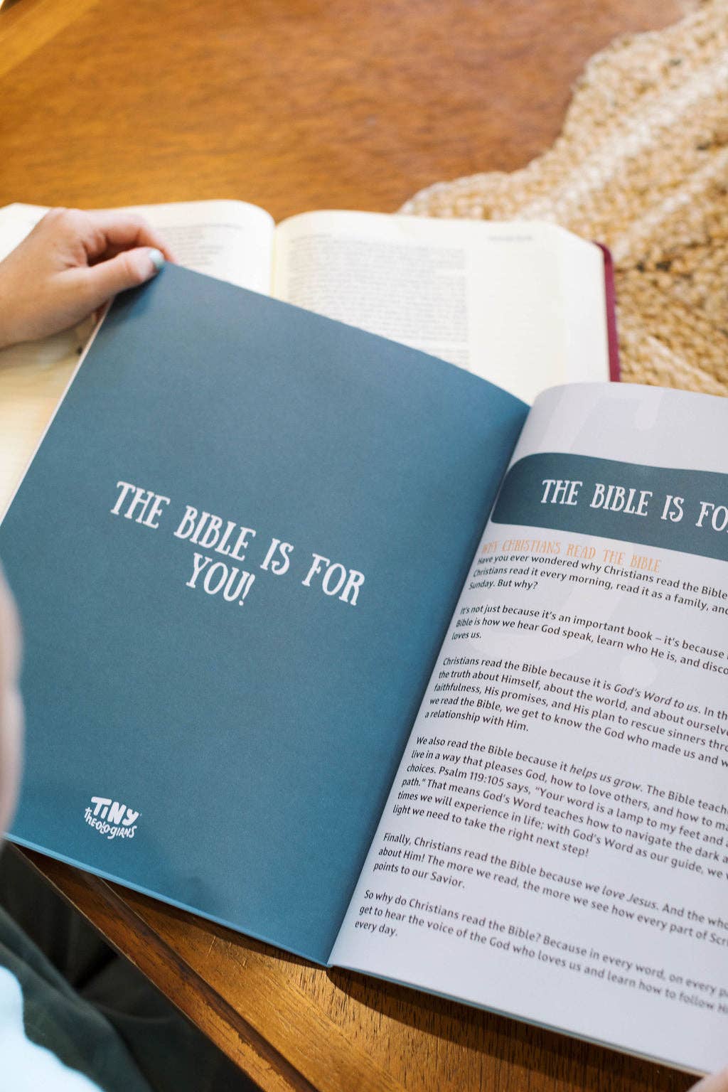 Tiny Bible Survey