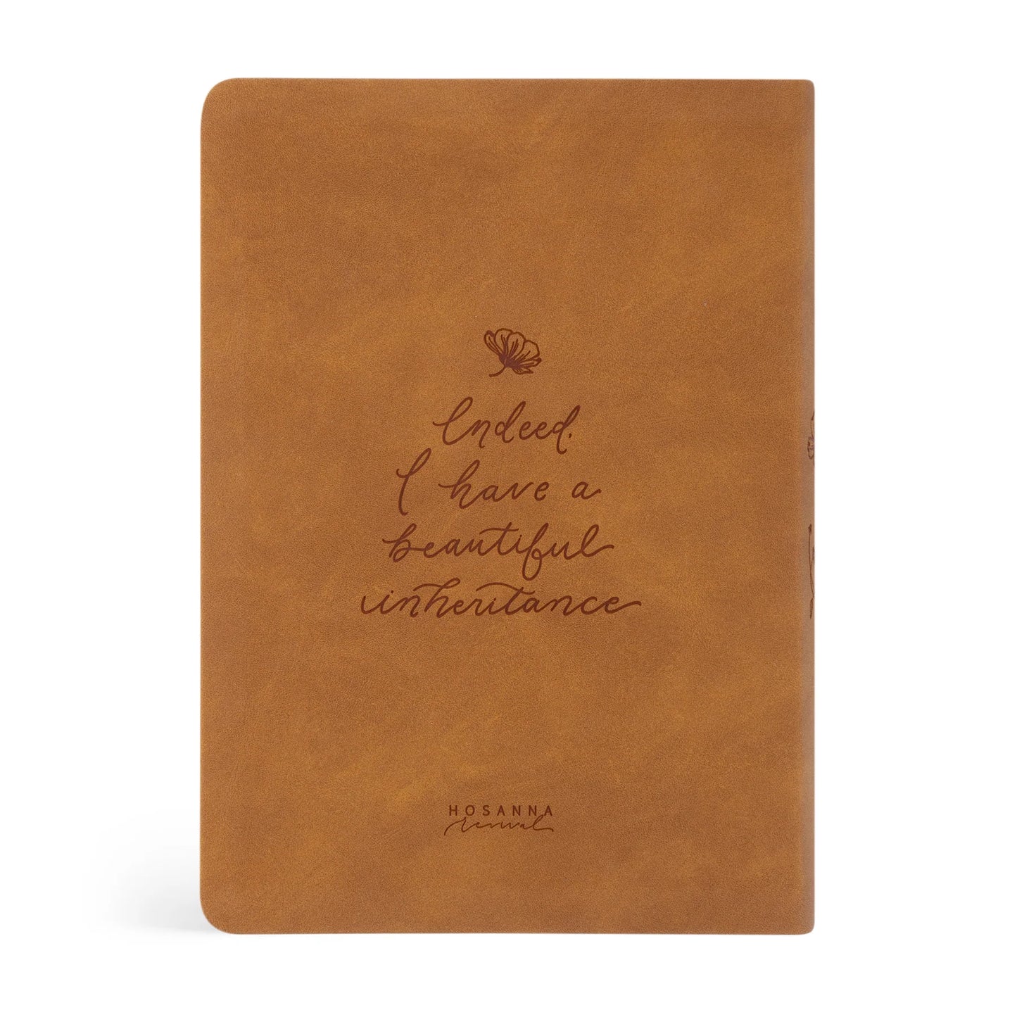 NLT Life Application Study Bible: Amelia Theme