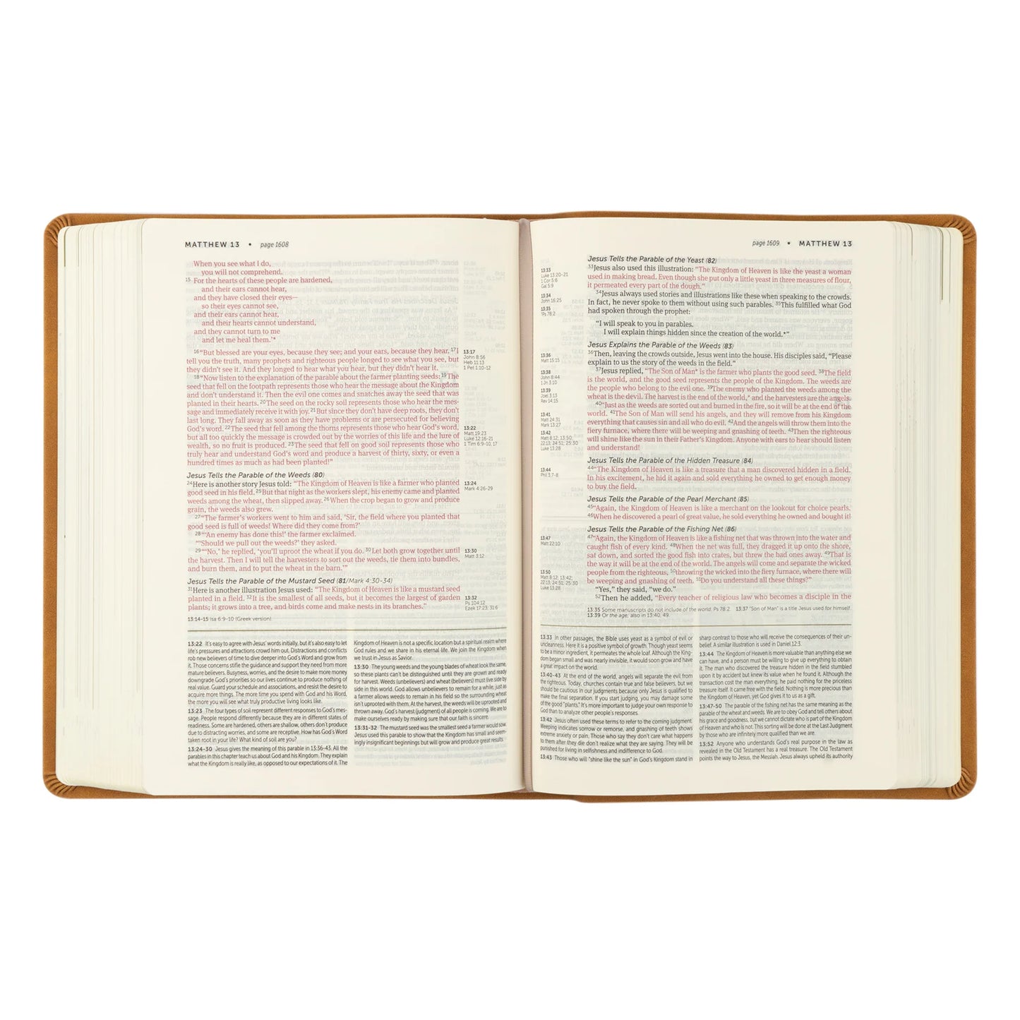 NLT Life Application Study Bible: Amelia Theme