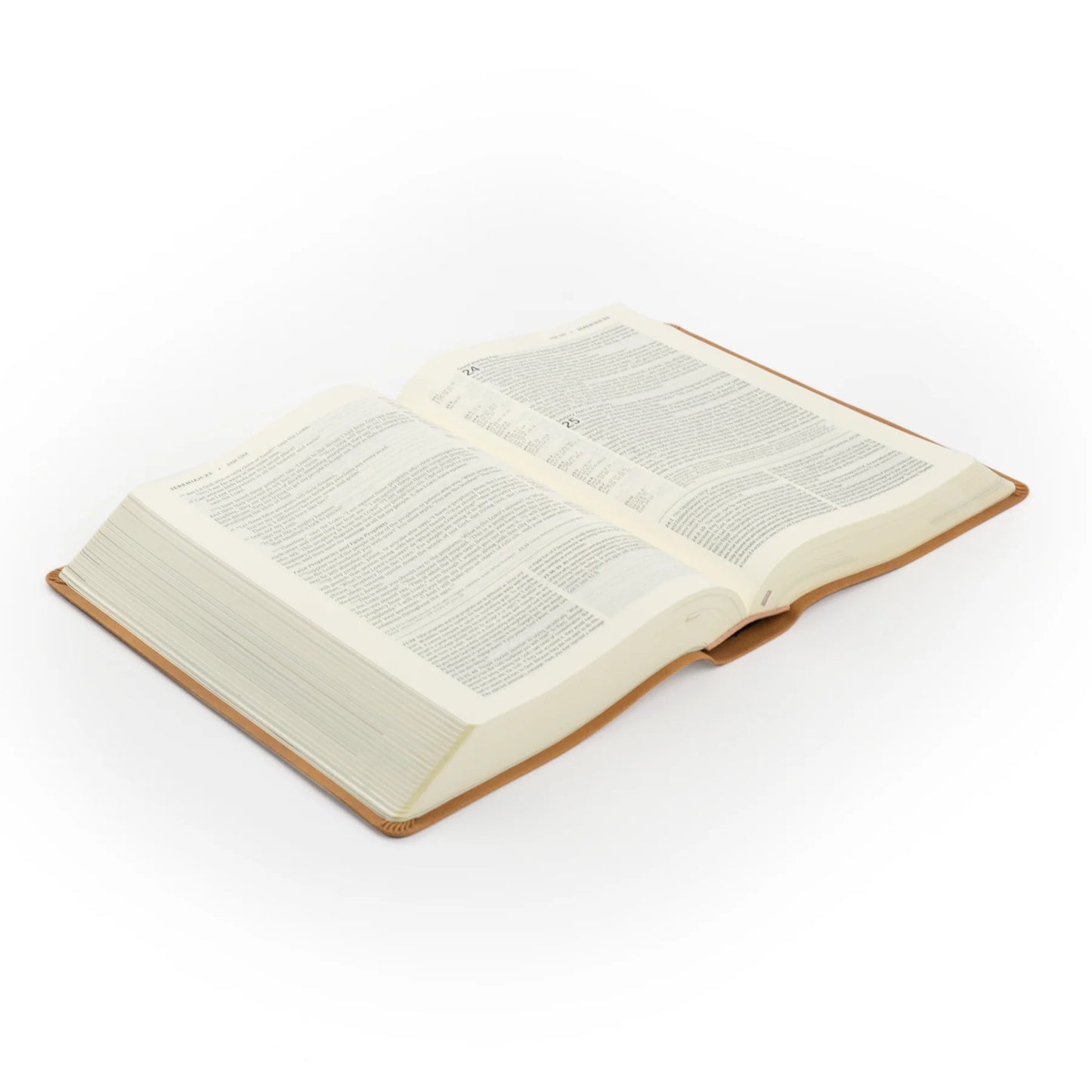 NLT Life Application Study Bible: Amelia Theme