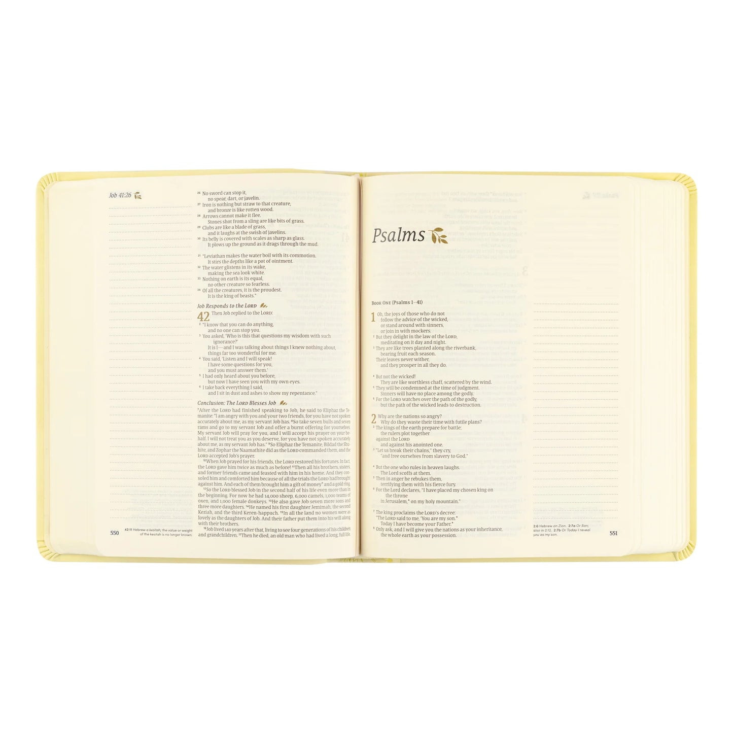 NLT Notetaking Bible: Belfast Theme