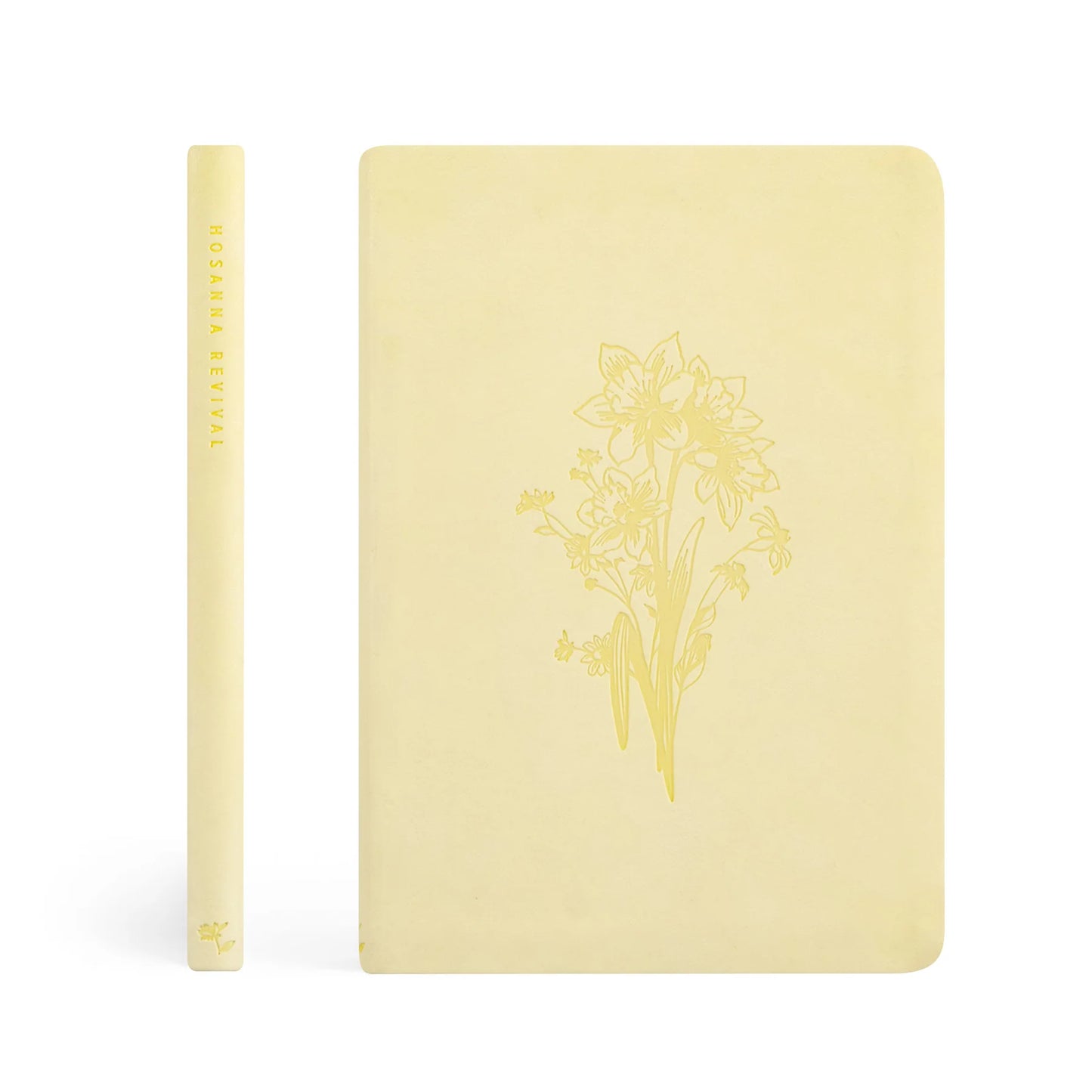 Lined Journal: Belfast Theme