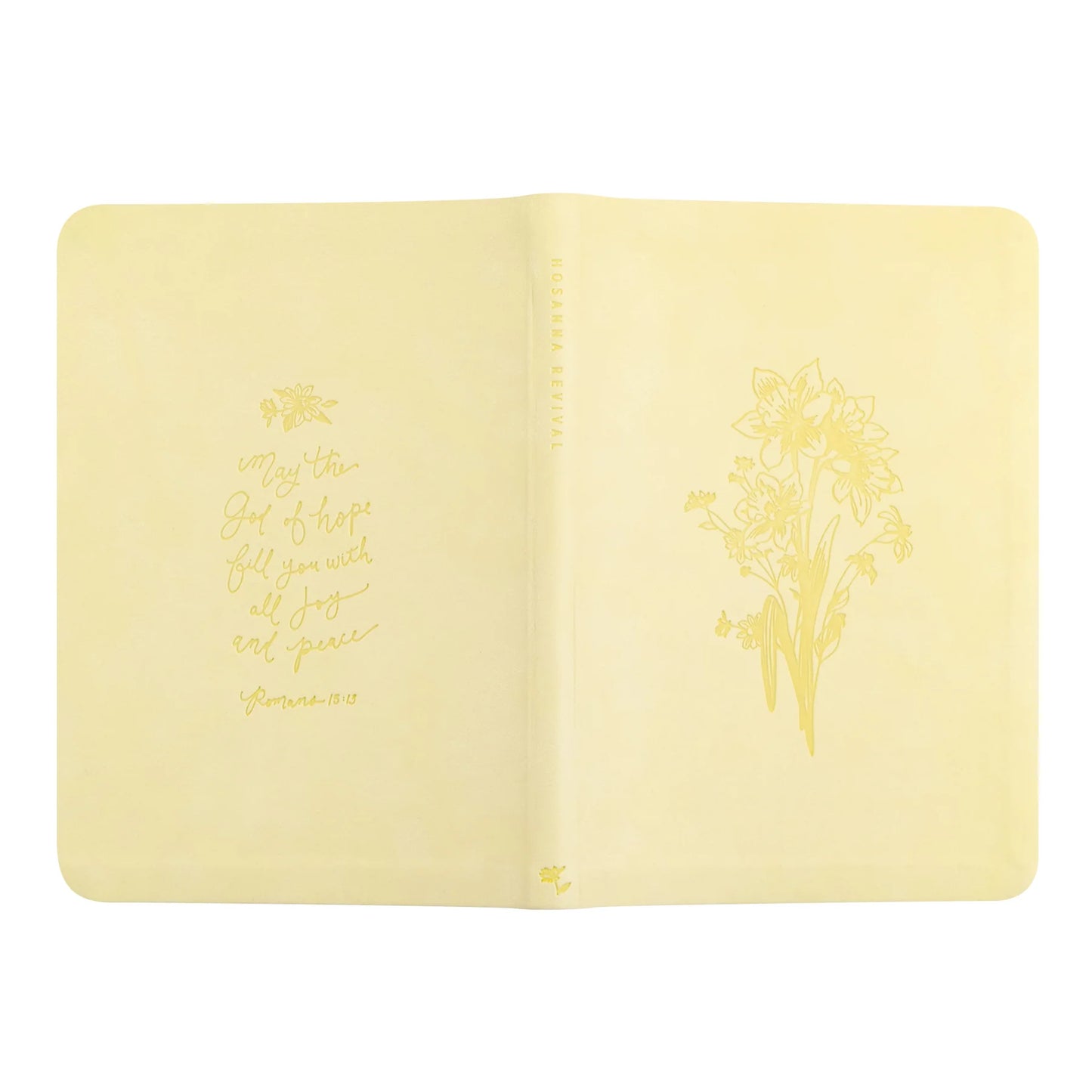 Lined Journal: Belfast Theme