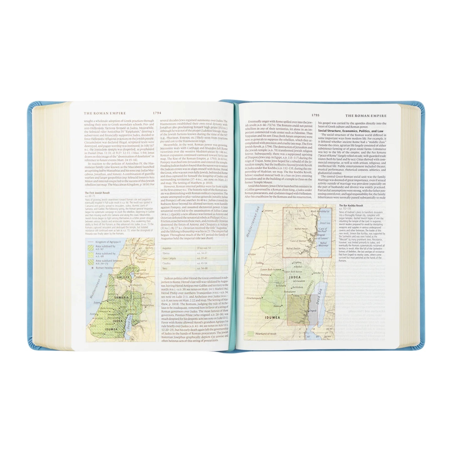 ESV Study Bible: Bethany Theme