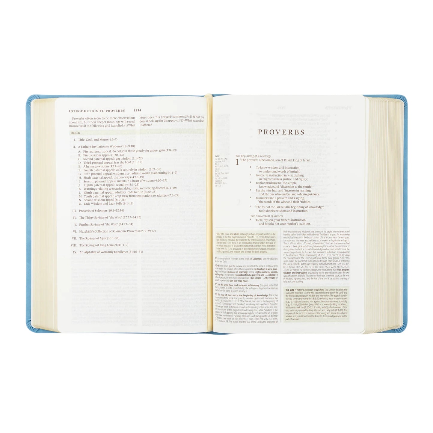 ESV Study Bible: Bethany Theme