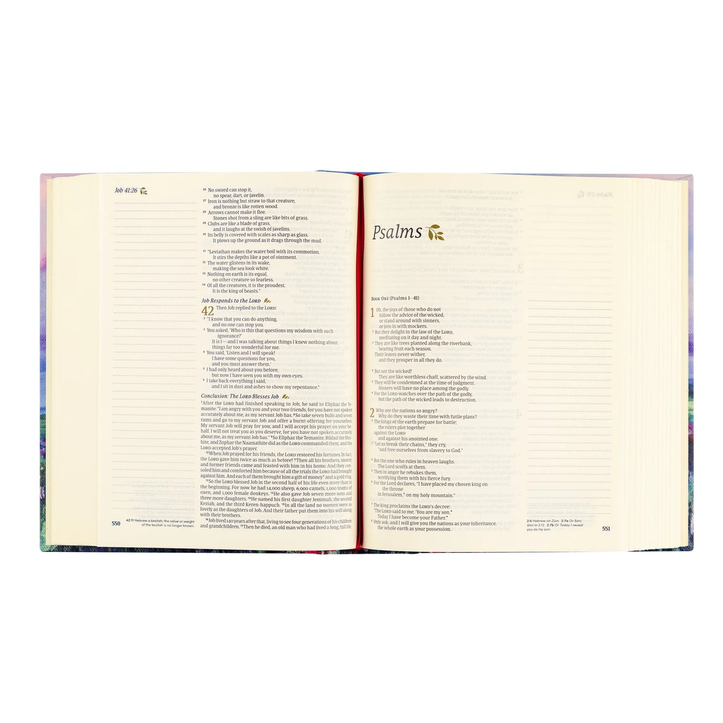 NLT Notetaking Bible: Cana Theme