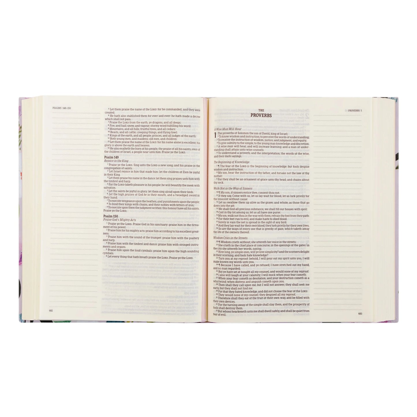 KJV Large Print Notetaking Bible: Charlotte Theme