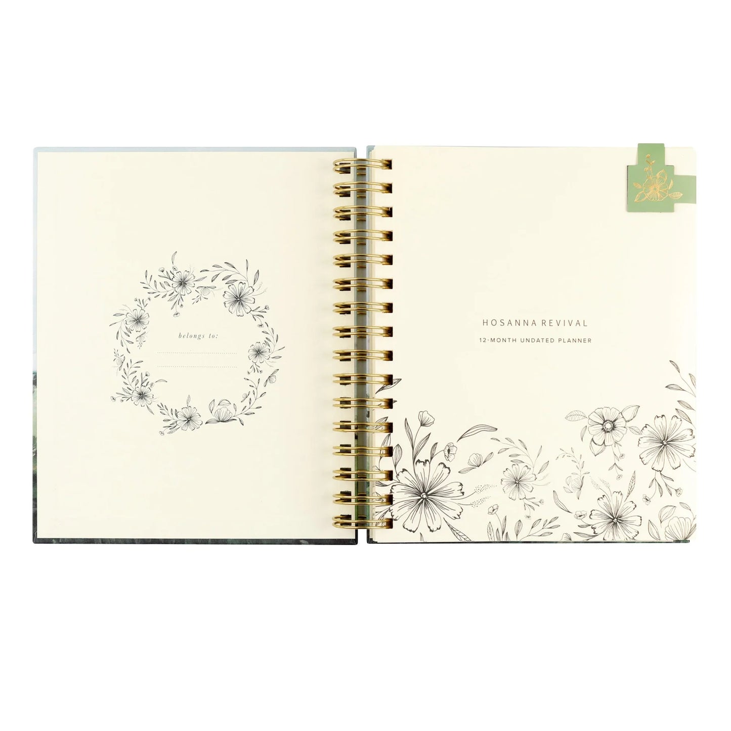 Undated 12 Month Planner: Dublin Theme