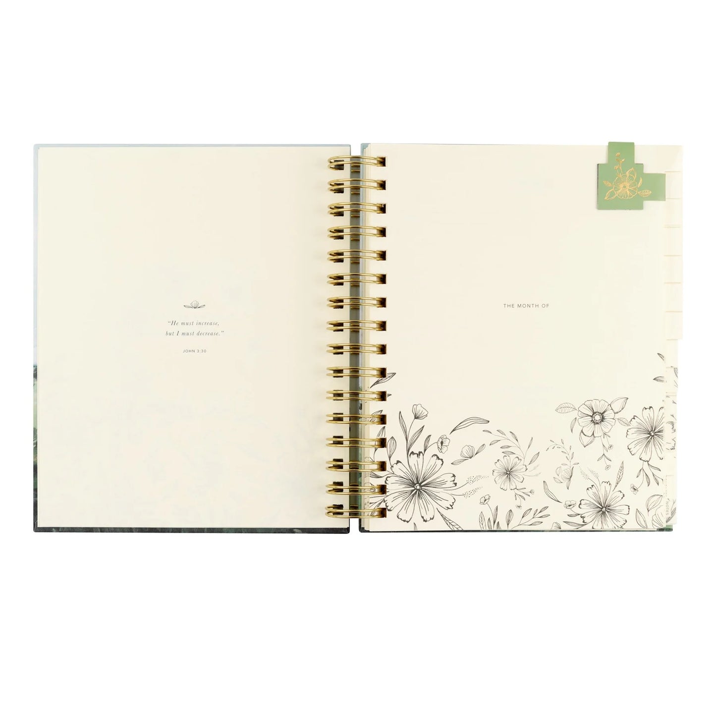 Undated 12 Month Planner: Dublin Theme