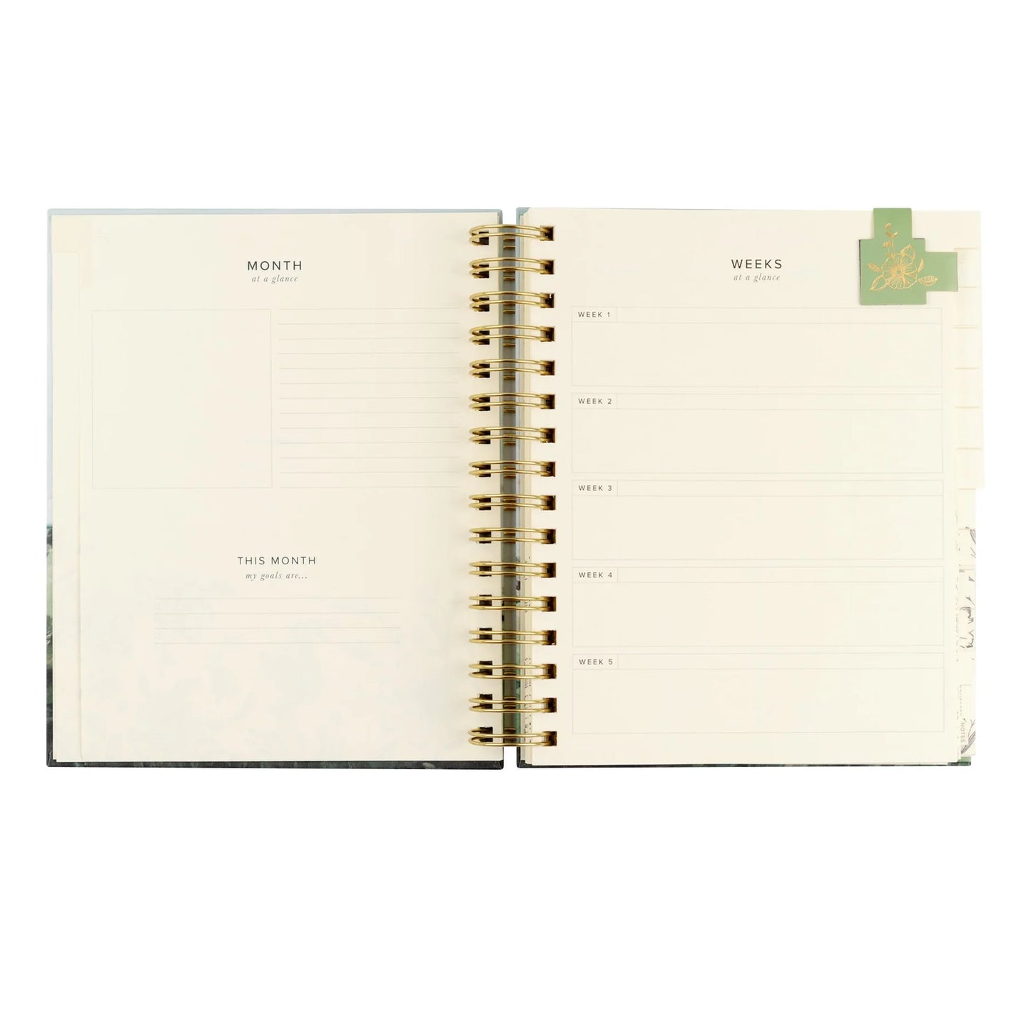 Undated 12 Month Planner: Dublin Theme