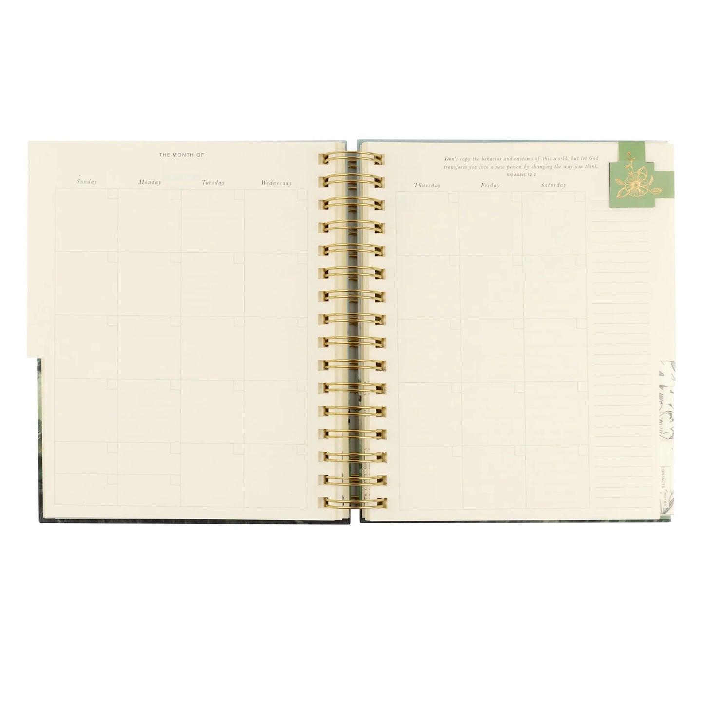 Undated 12 Month Planner: Dublin Theme