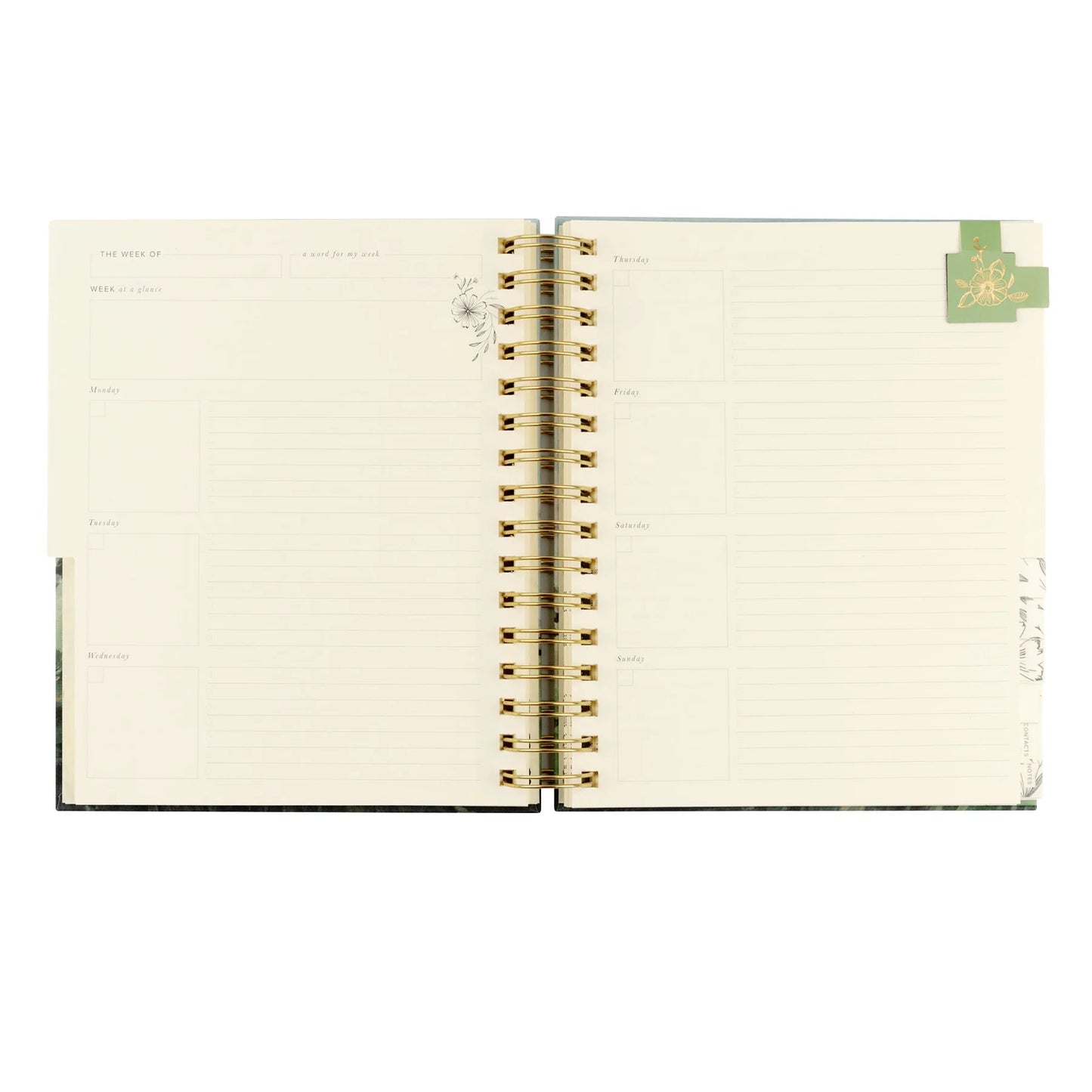 Undated 12 Month Planner: Dublin Theme