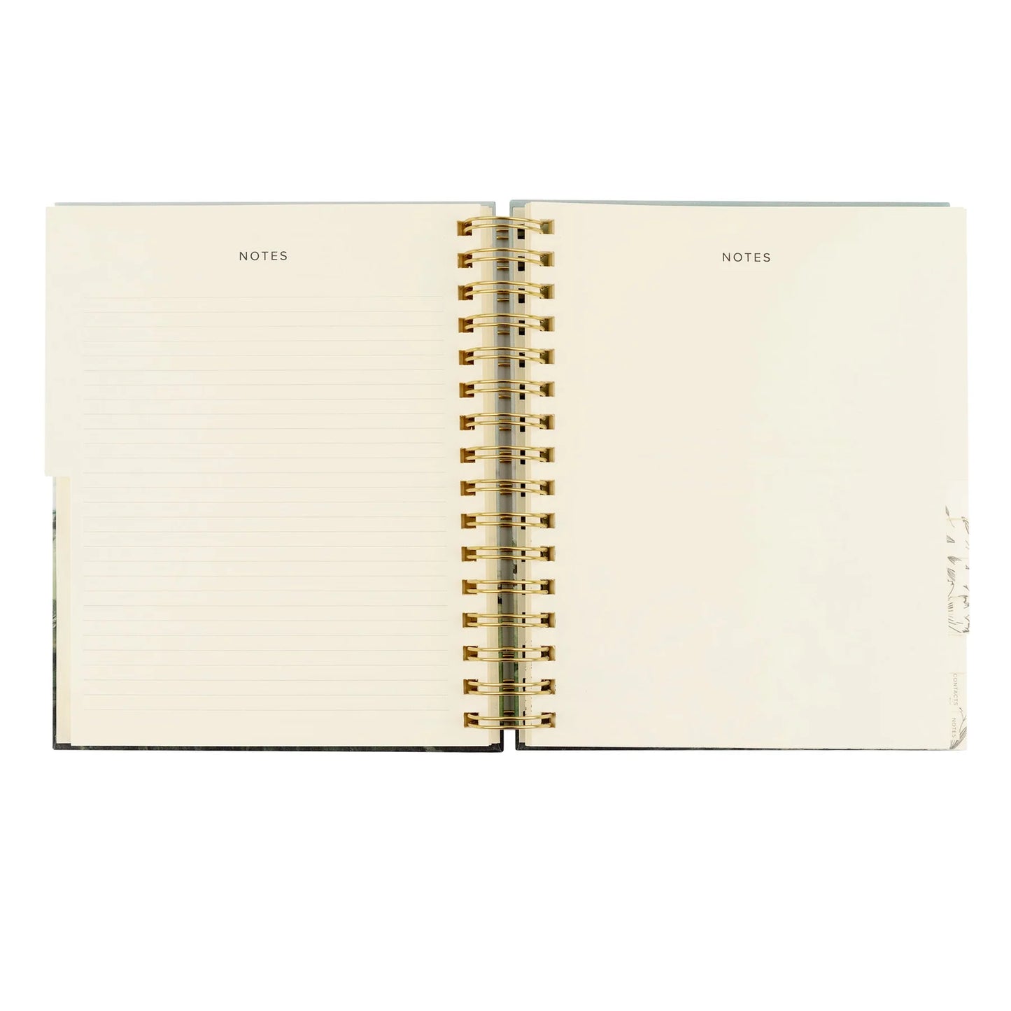 Undated 12 Month Planner: Dublin Theme