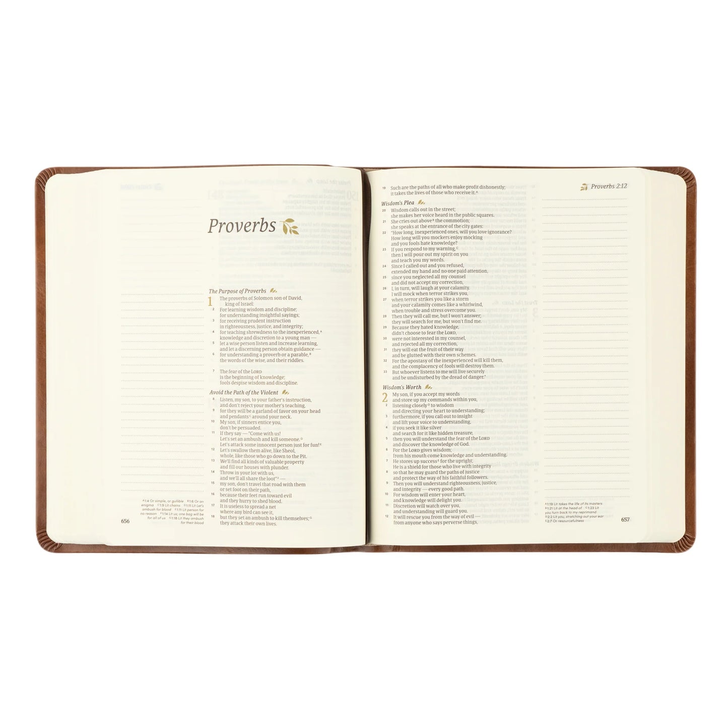 CSB Notetaking Bible: Edinburgh Theme