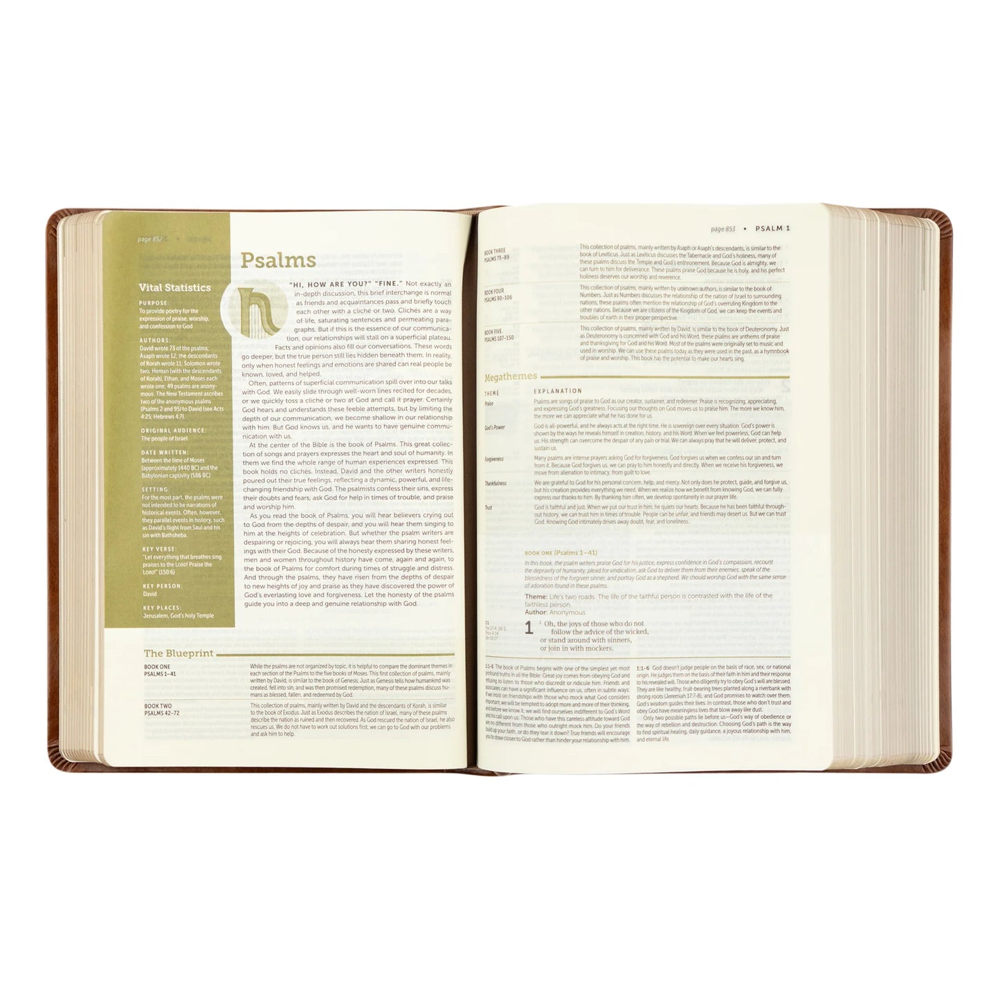 NLT Life Application Study Bible: Edinburgh Theme