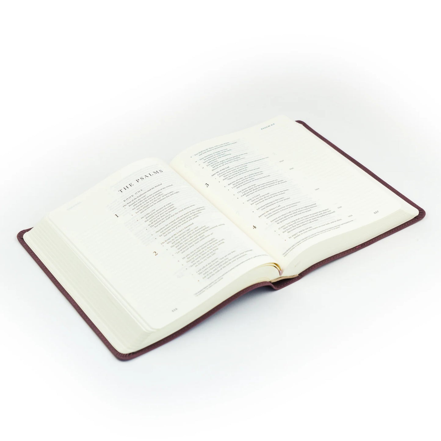 ESV Journalling Bible - Helena