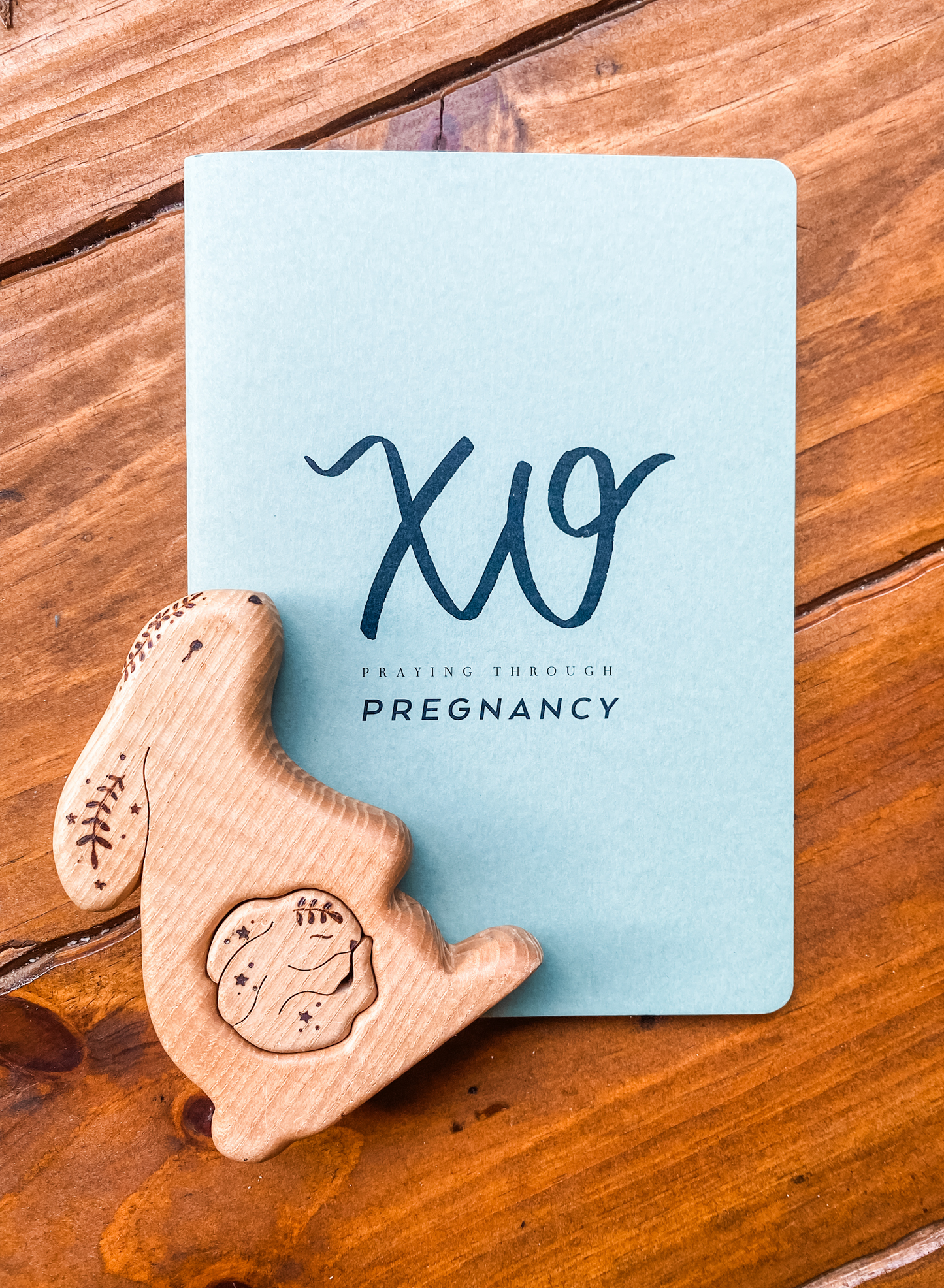 Pregnancy Prayer Journal