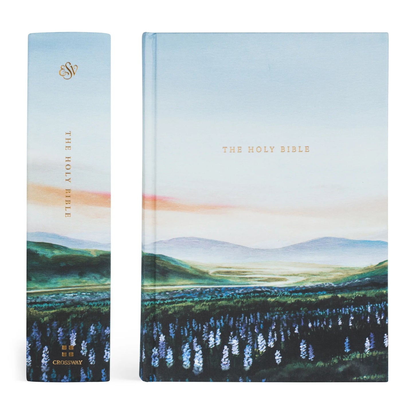 ESV Study Bible: Iceland