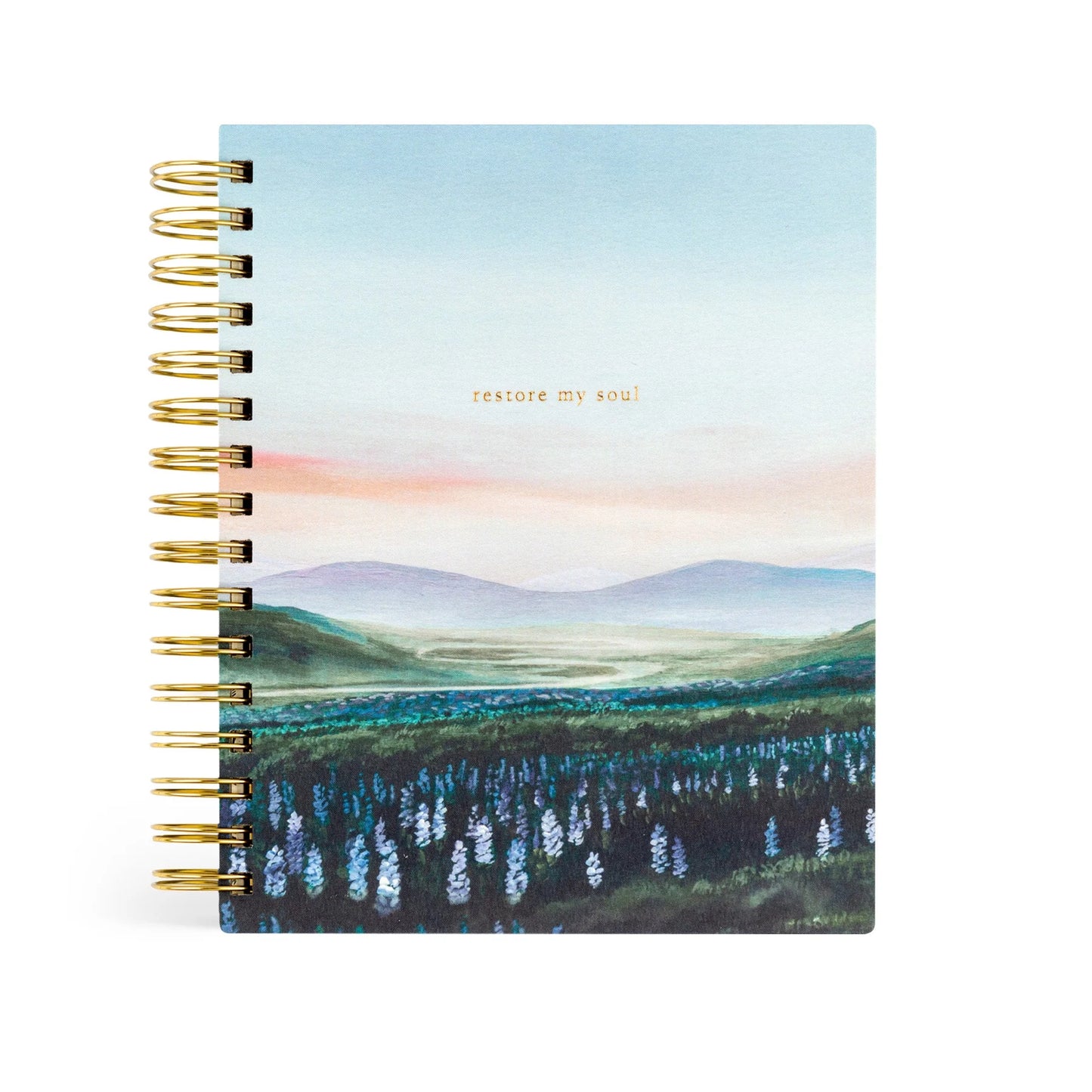 Undated 12 Month Planner: Iceland Theme