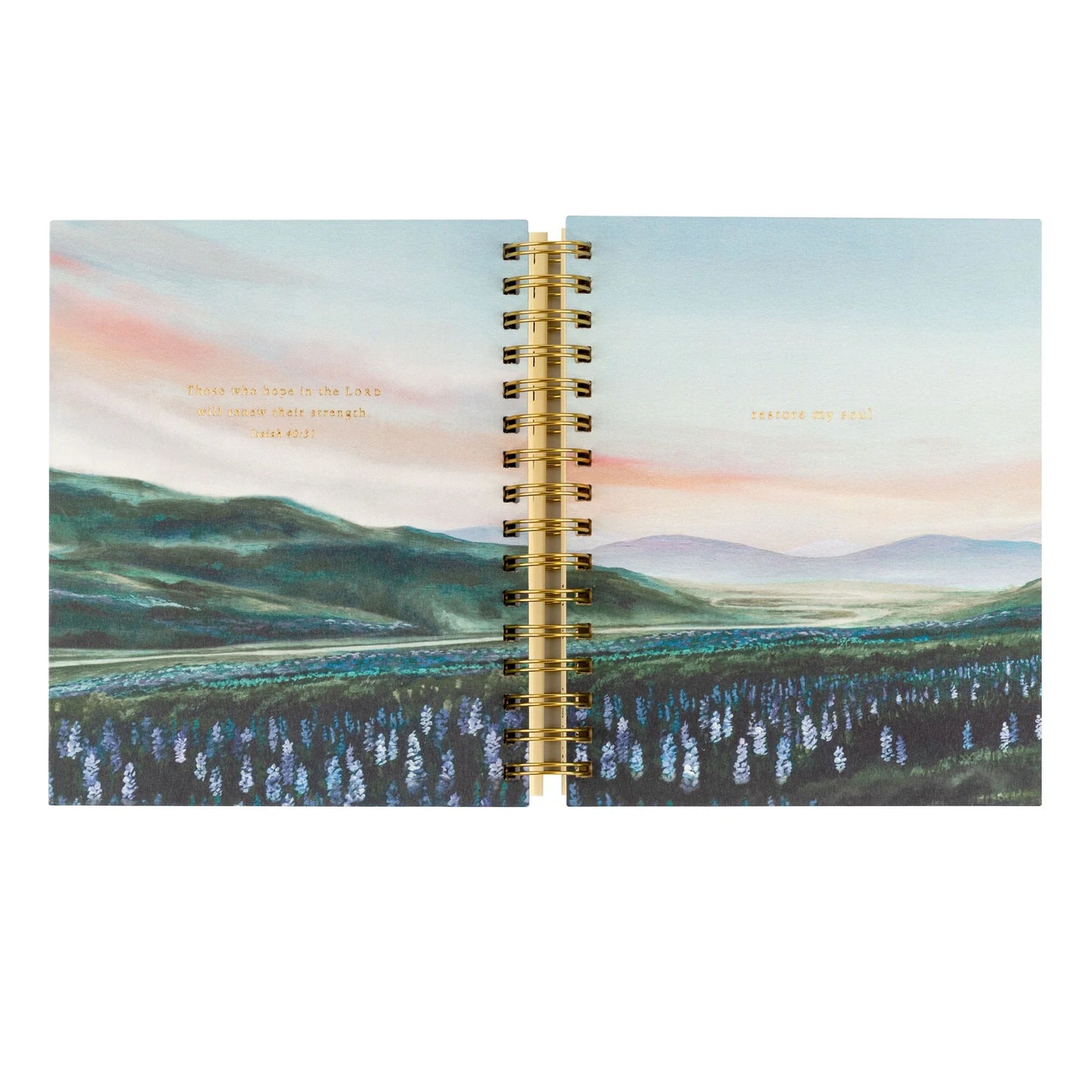 Undated 12 Month Planner: Iceland Theme