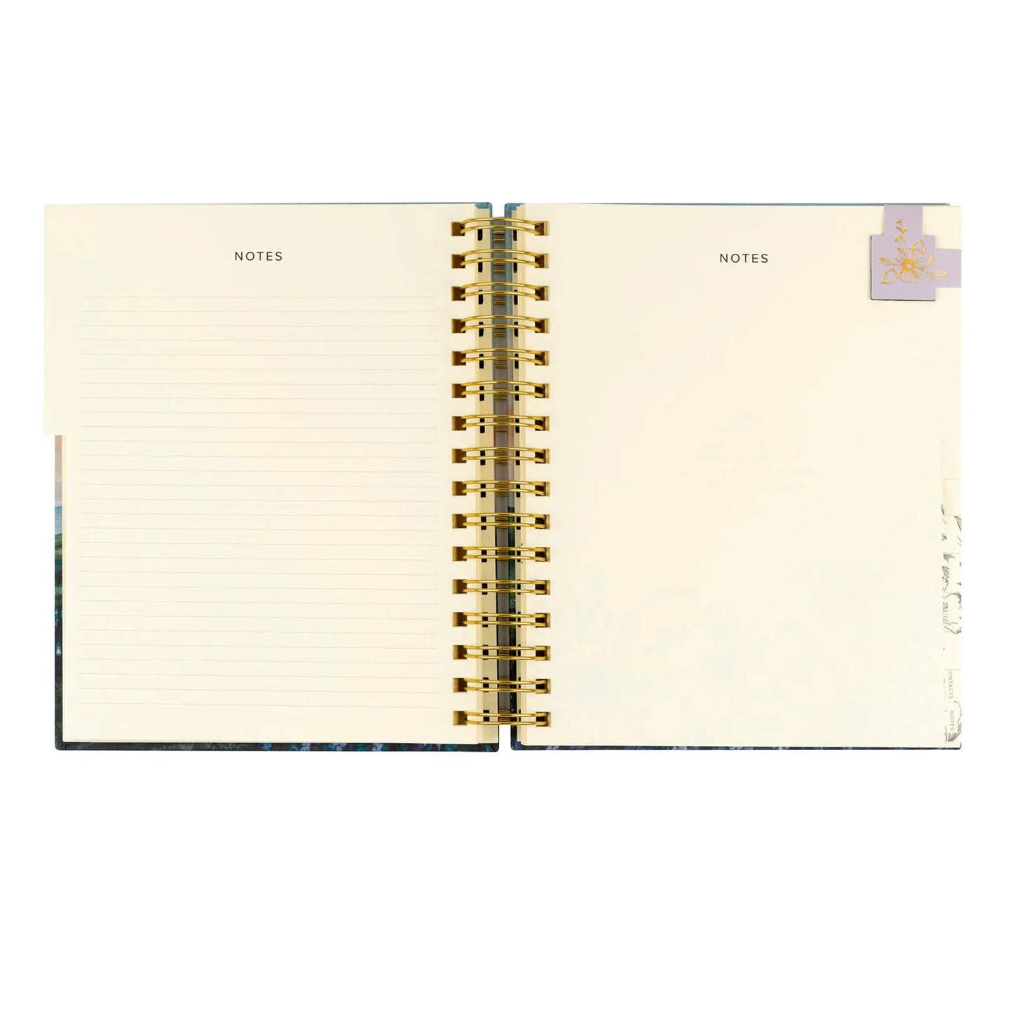 Undated 12 Month Planner: Iceland Theme