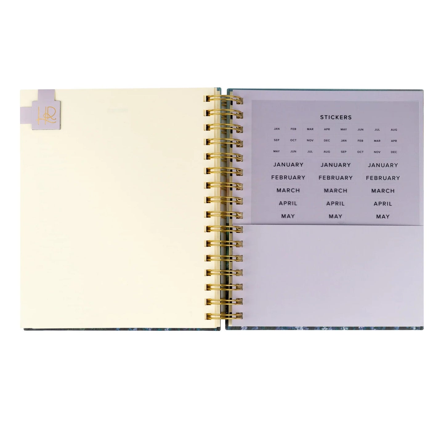 Undated 12 Month Planner: Iceland Theme