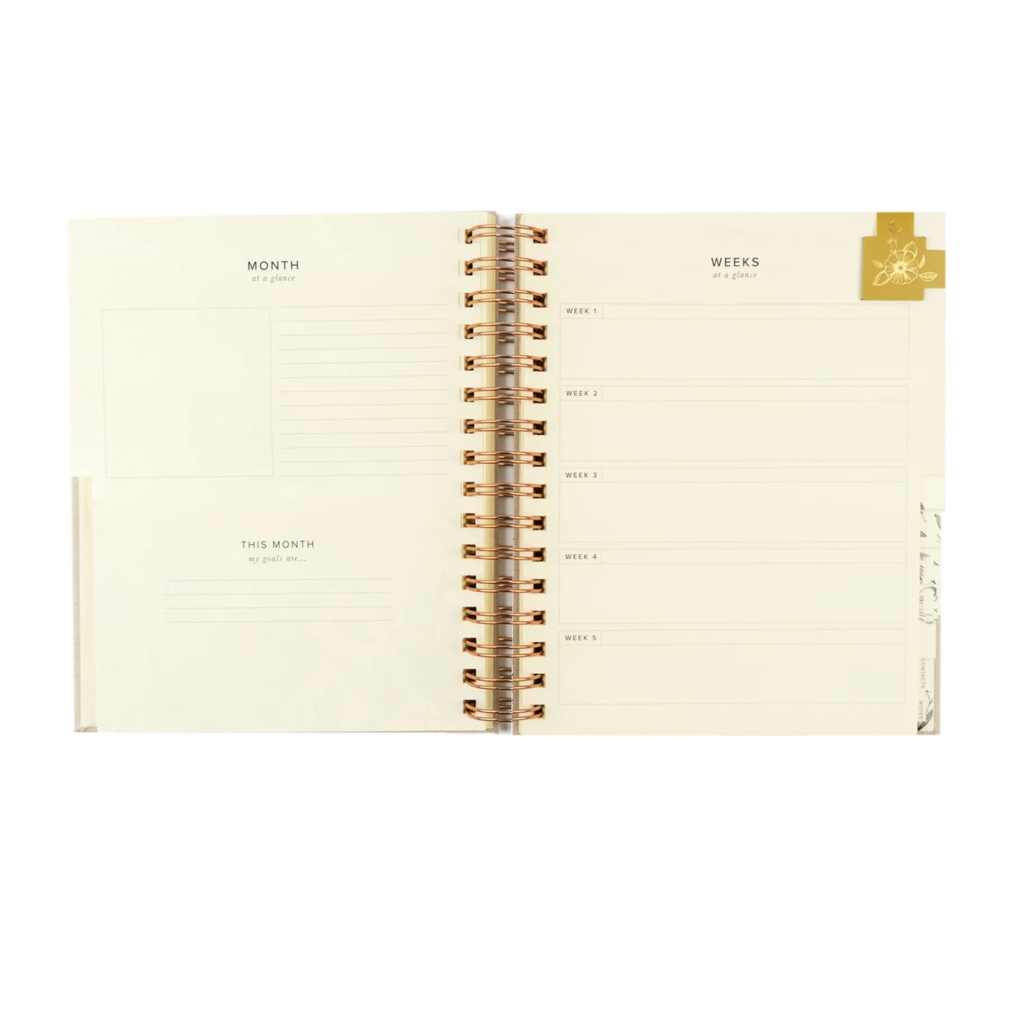 Undated 12 Month Planner: Magnolia Springs Theme