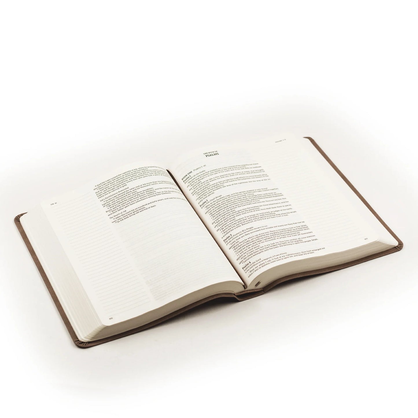 KJV Large Print Notetaking Bible: Marlo Theme