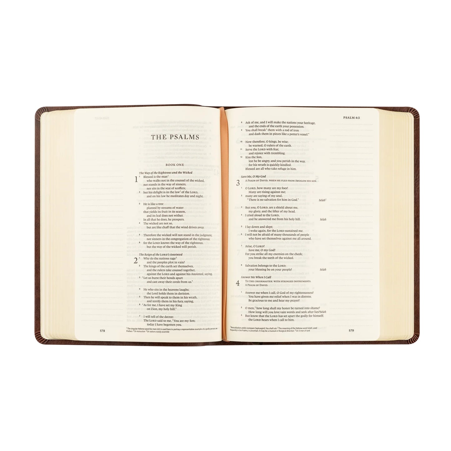 ESV Journalling Bible: Palma Theme