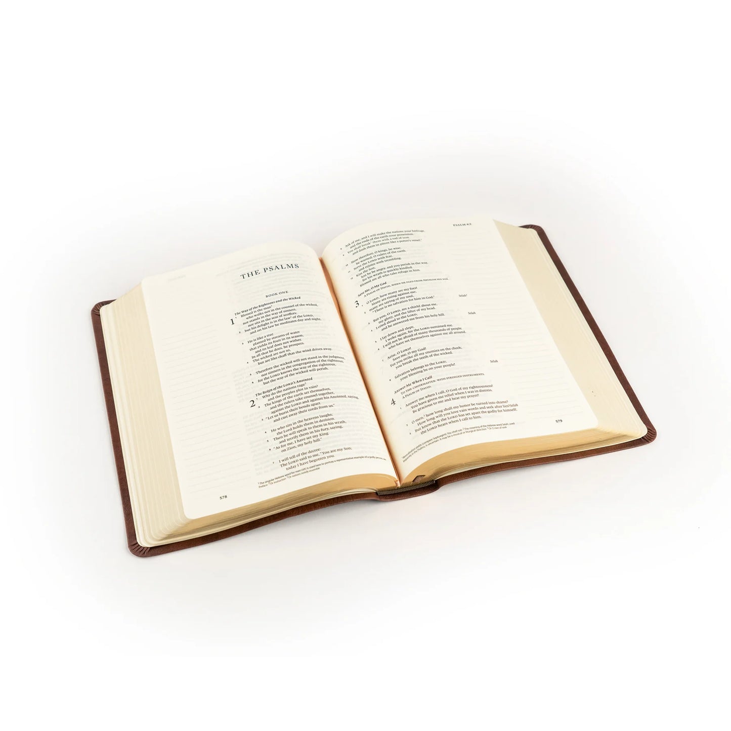 ESV Journalling Bible: Palma Theme