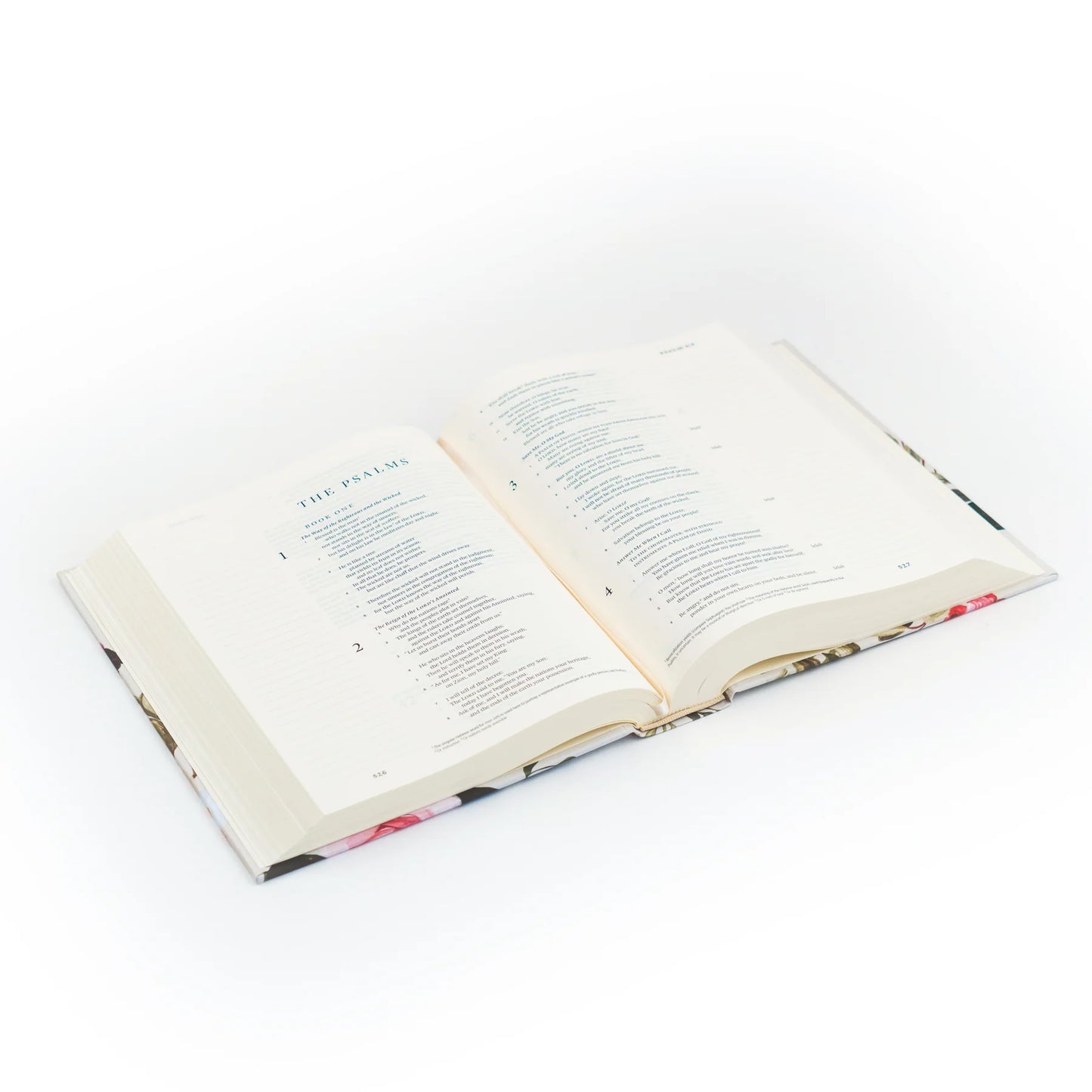 ESV Journaling Bible: Paris