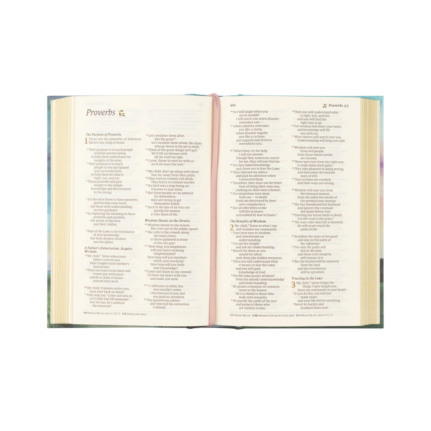 NLT Compact Bible: Prairie Theme