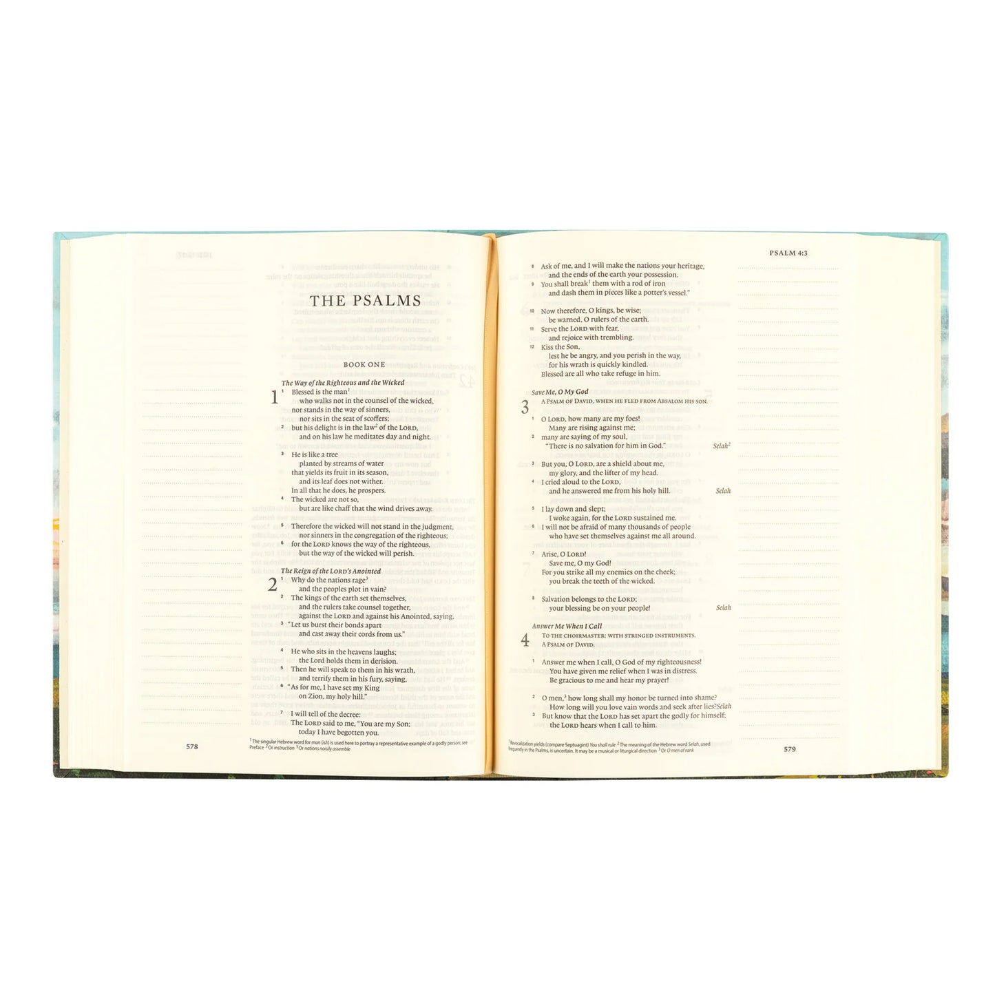 ESV Journalling Bible: Santa Lucia Theme
