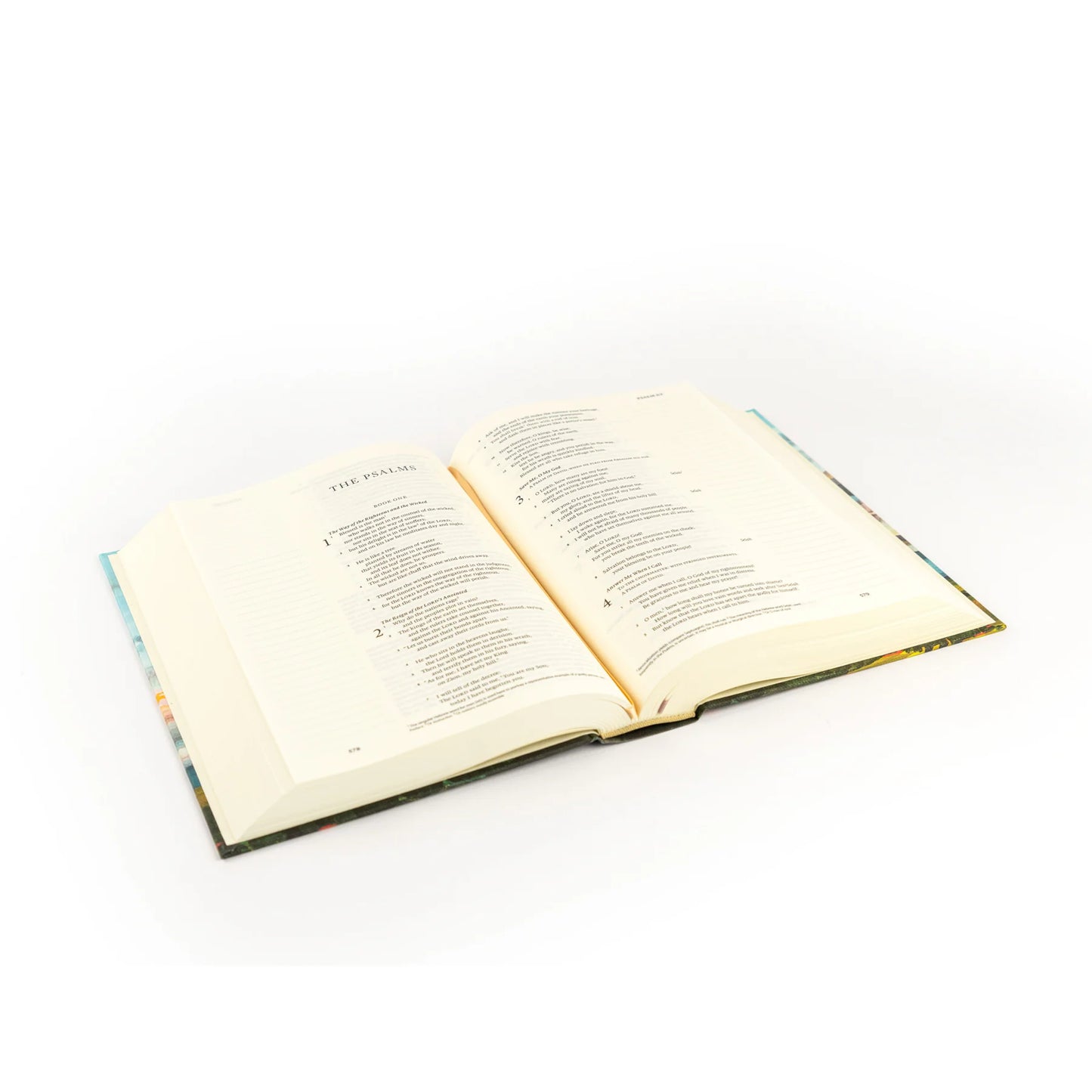 ESV Journalling Bible: Santa Lucia Theme
