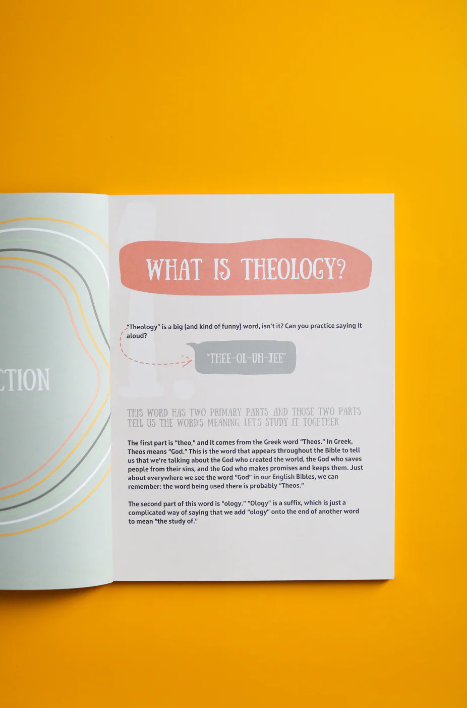 Tiny Systematics Workbook