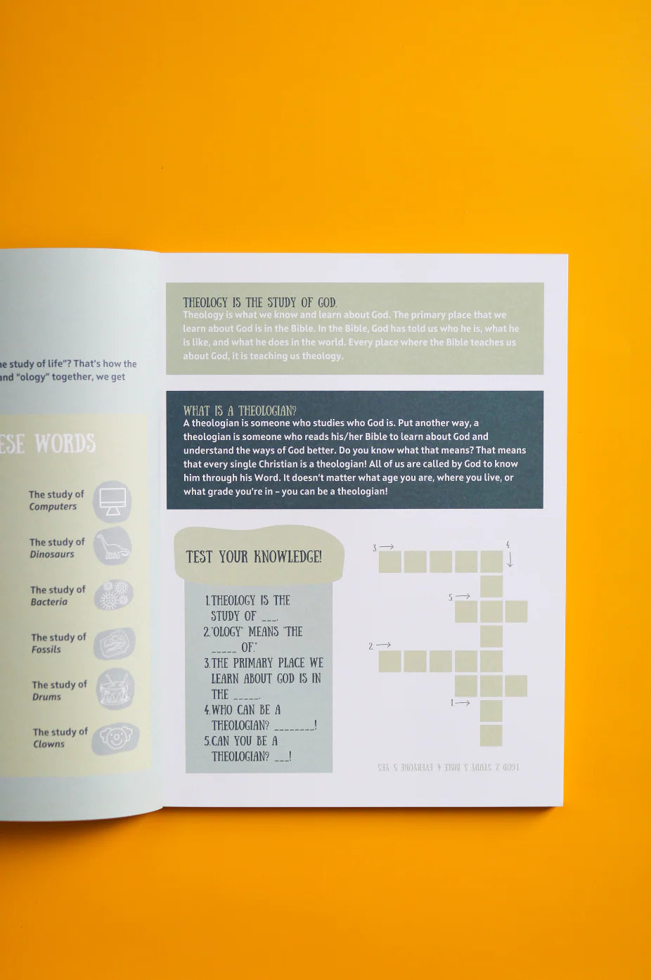 Tiny Systematics Workbook