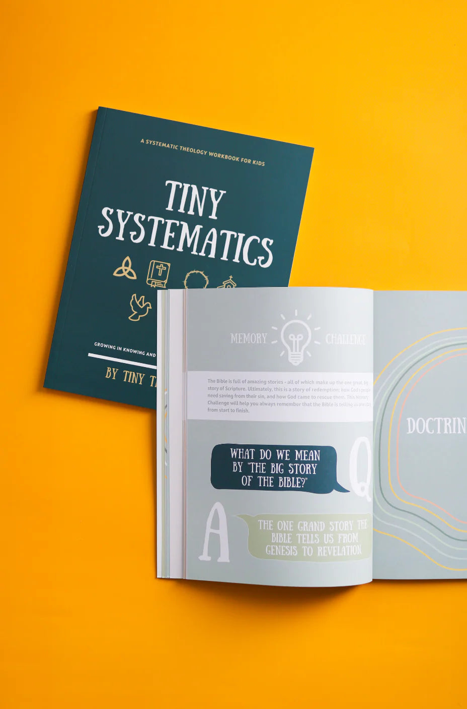 Tiny Systematics Workbook