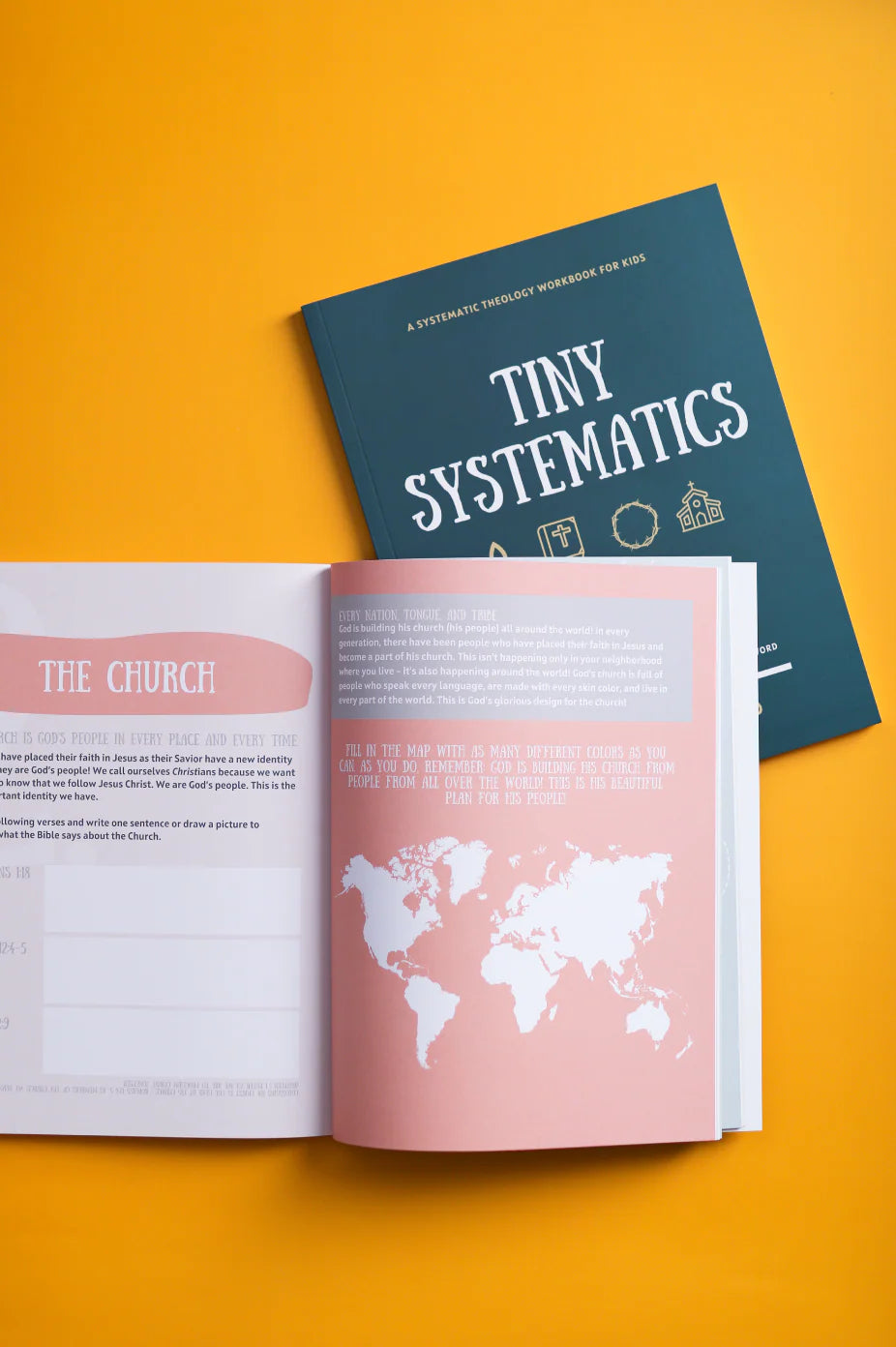 Tiny Systematics Workbook