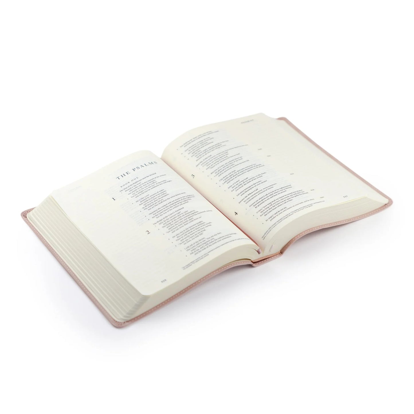 ESV Journaling Bible: Shiloh Theme