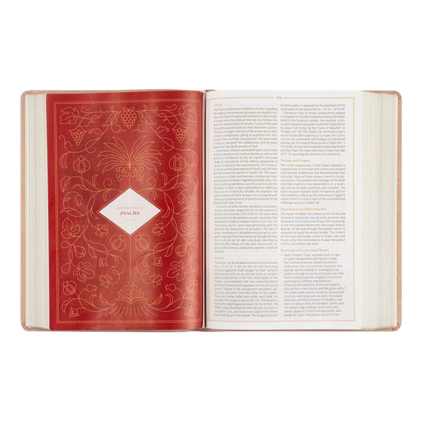 CSB Women's Study Bible: Sonora Theme
