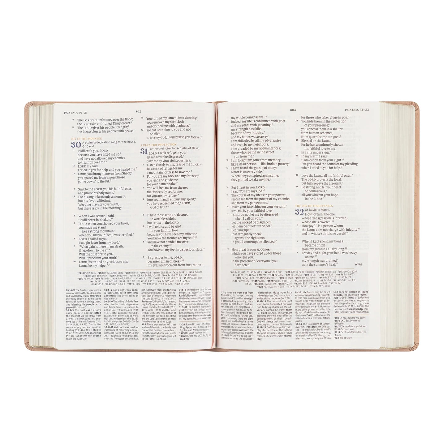 CSB Women's Study Bible: Sonora Theme