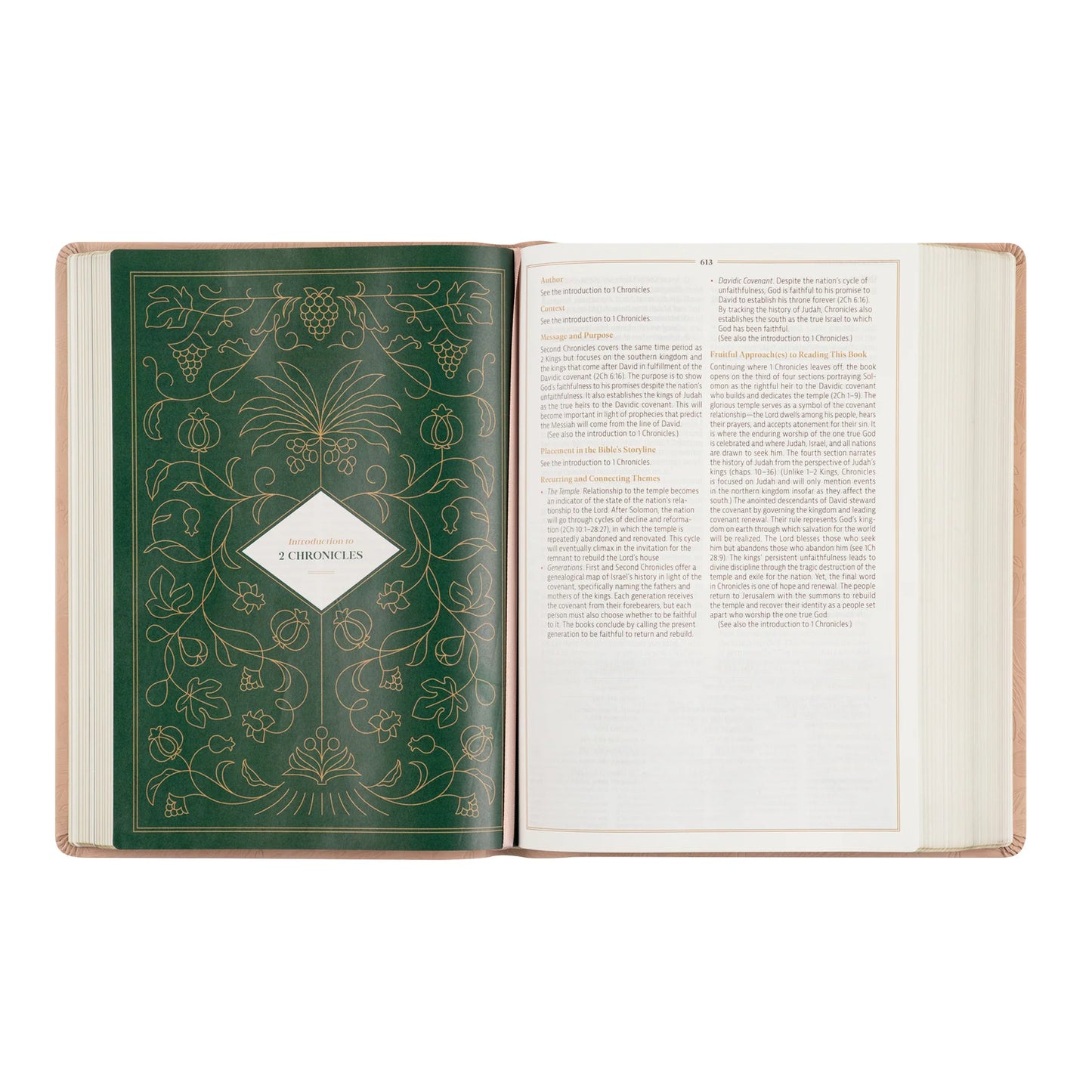 CSB Women's Study Bible: Sonora Theme