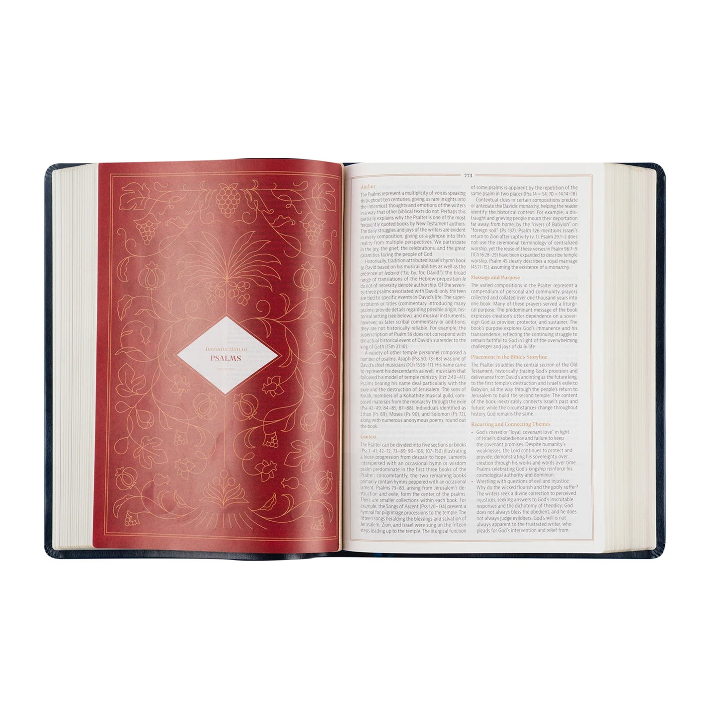 CSB Women's Study Bible: Versaillies Theme