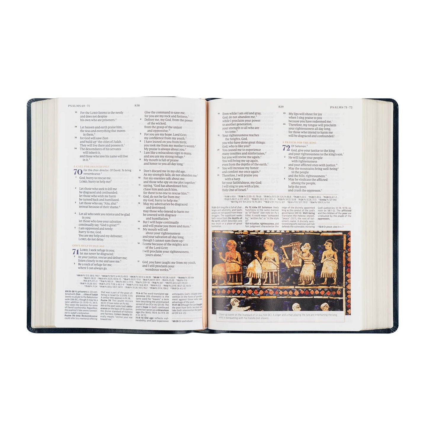 CSB Women's Study Bible: Versaillies Theme
