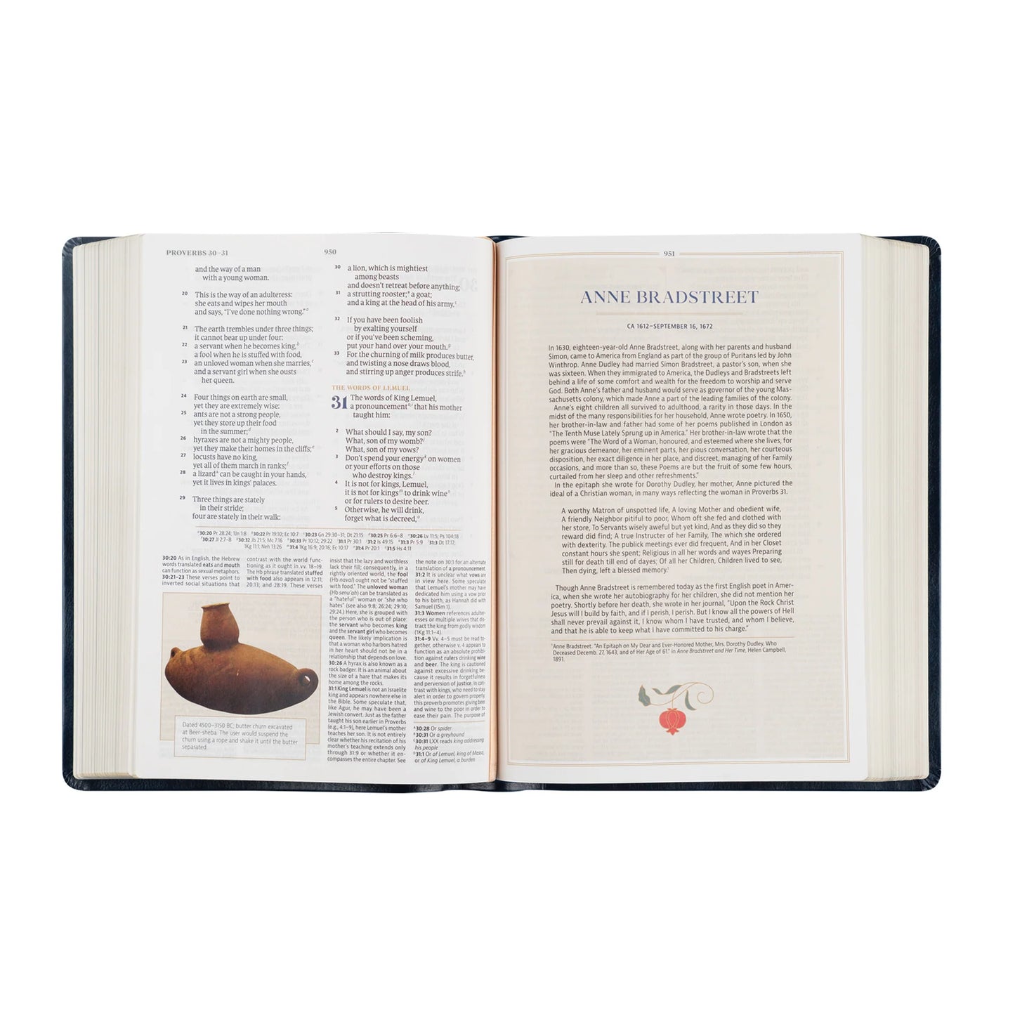 CSB Women's Study Bible: Versaillies Theme