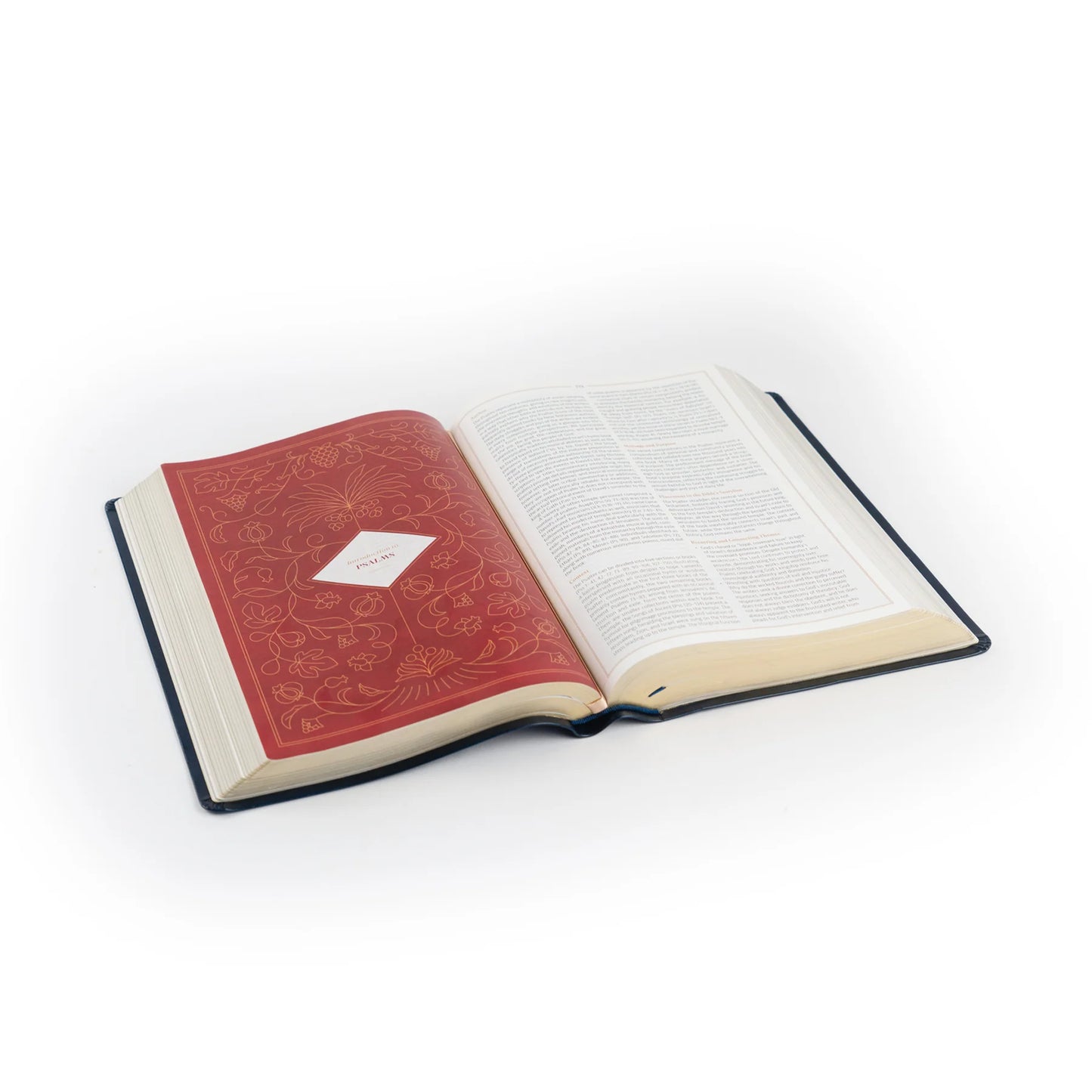 CSB Women's Study Bible: Versaillies Theme